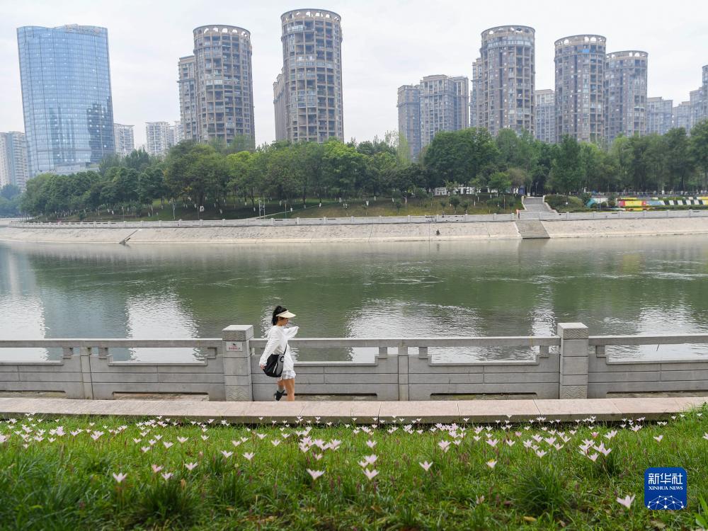 金顶娱乐